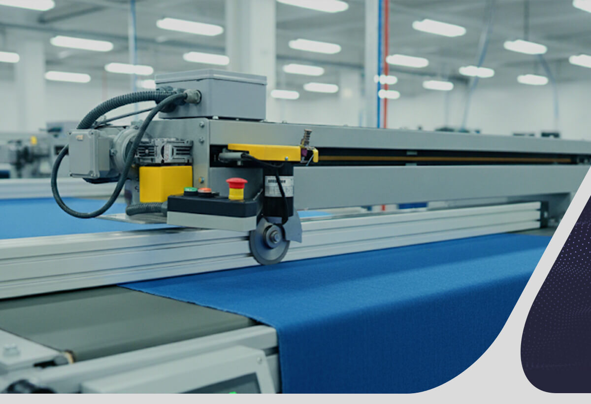 cross sectional of tissues